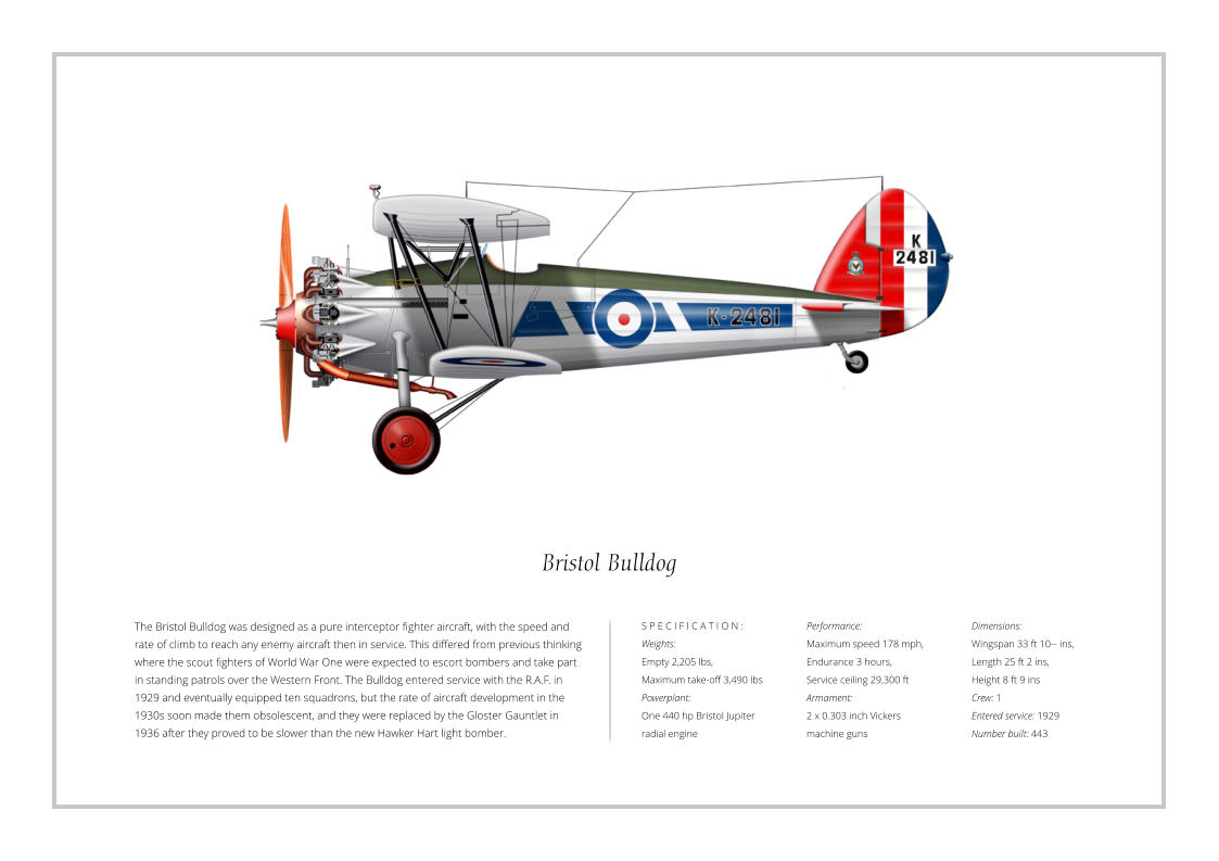 Performance:  Maximum speed 178 mph,  Endurance 3 hours,  Service ceiling 29,300 ft Armament:  2 x 0.303 inch Vickers  machine guns Bristol Bulldog  Dimensions:  Wingspan 33 ft 10­­ ins,  Length 25 ft 2 ins,  Height 8 ft 9 ins Crew: 1 Entered service: 1929 Number built: 443 The Bristol Bulldog was designed as a pure interceptor fighter aircraft, with the speed and rate of climb to reach any enemy aircraft then in service. This differed from previous thinking where the scout fighters of World War One were expected to escort bombers and take part in standing patrols over the Western Front. The Bulldog entered service with the R.A.F. in 1929 and eventually equipped ten squadrons, but the rate of aircraft development in the 1930s soon made them obsolescent, and they were replaced by the Gloster Gauntlet in 1936 after they proved to be slower than the new Hawker Hart light bomber. S P E C I F I C A T I O N : Weights:  Empty 2,205 lbs,  Maximum take-off 3,490 lbs Powerplant:  One 440 hp Bristol Jupiter  radial engine